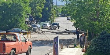 Κοζάνη: Απίστευτο βίντεο- Δείτε τη στιγμή που το μεγάλο δέντρο που έκοψε μόνος του δημότης πέφτει μέσα στο δρόμο και περνάει αυτοκίνητο