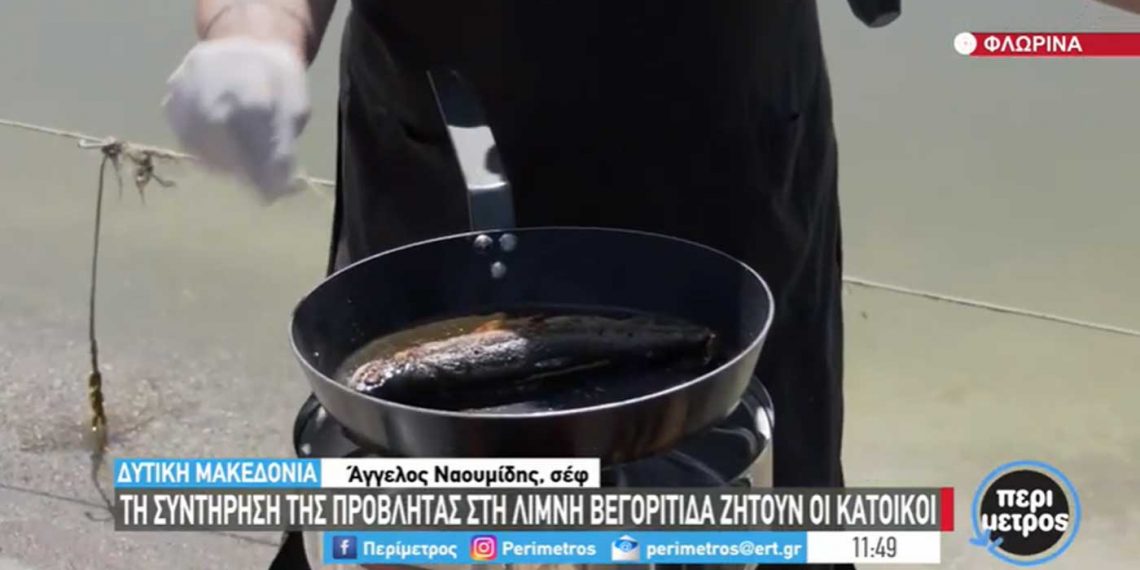 Μαγειρική σε..βάρκα στη λίμνη Βεγορίτιδα – Ο σεφ Άγγελος Ναουμίδης, μαγείρεψε πέστροφα με πιπεριές φλωρίνης και γίγαντες