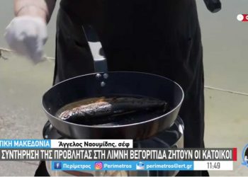 Μαγειρική σε..βάρκα στη λίμνη Βεγορίτιδα – Ο σεφ Άγγελος Ναουμίδης, μαγείρεψε πέστροφα με πιπεριές φλωρίνης και γίγαντες