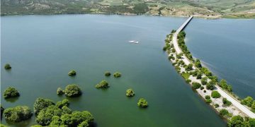 Όμορφες εικόνες από το Πλατανόδασος Ρυμνίου στην λίμνη Πολυφύτου (Φωτογραφίες)!