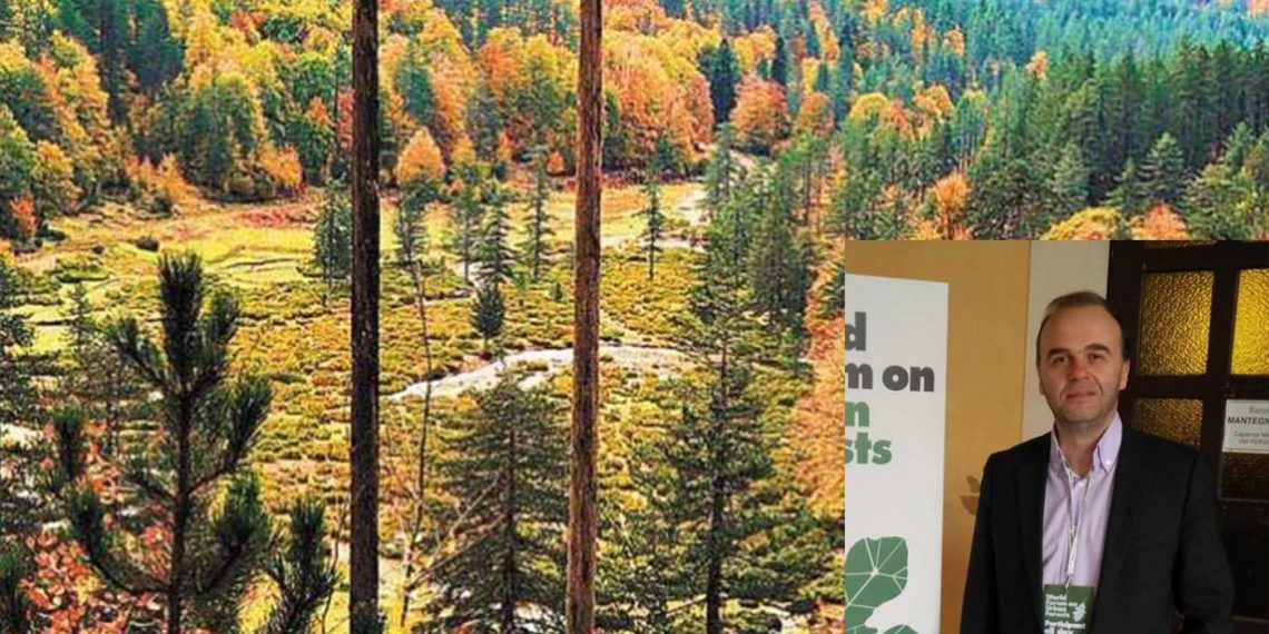 Στη Δ. Μακεδονία το πρώτο πρότυπο δάσος στην Ελλάδα- – Εμπνευστής του σχεδίου ο Δασολόγος Δημήτρης Τσίμπλινας