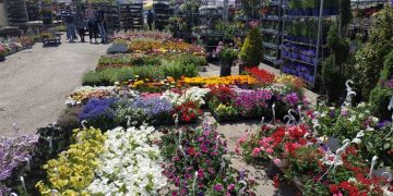 Ξεκίνησε η Ανθοκομική Έκθεση στην Πτολεμαΐδα – Γέμισε με άνθη και φυτά ο χώρος της λαϊκής αγοράς (φωτο-βιντεο)