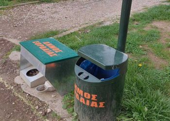 Πτολεμαΐδα: Χωρίς φαγητό και νερό για τα αδέσποτα οι ταΐστρες στο παλιό πάρκο – Αναμένεται να αναλάβει το συνεργείο από το Δήμο