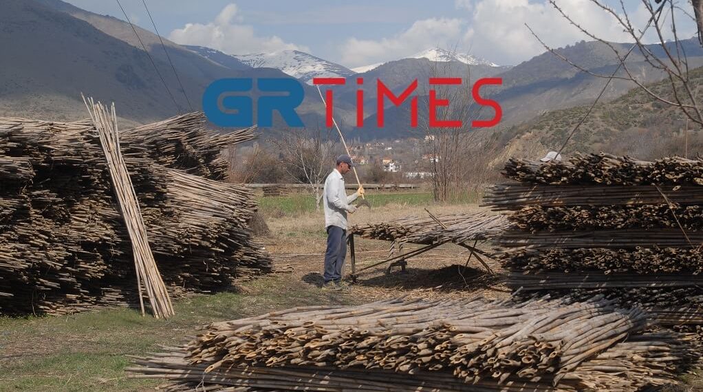 Φλώρινα: Στροφή στη μεταποίηση αγροτικών προϊόντων και η… επιστροφή της φράουλας