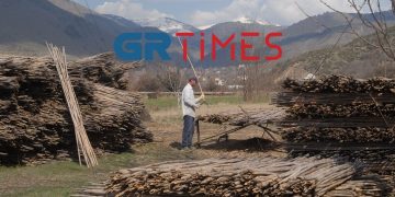 Φλώρινα: Στροφή στη μεταποίηση αγροτικών προϊόντων και η… επιστροφή της φράουλας