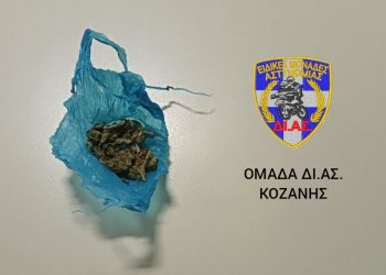 Συνελήφθησαν 2 άτομα σε περιοχές της Κοζάνης και της Καστοριάς για κατοχή ναρκωτικών ουσιών