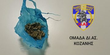 Συνελήφθησαν 2 άτομα σε περιοχές της Κοζάνης και της Καστοριάς για κατοχή ναρκωτικών ουσιών