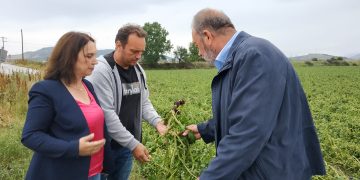 Καλλιόπη Βέττα: Η κυβέρνηση οφείλει να εκκινήσει άμεσα τις διαδικασίες και να αποζημιώσει το 100% της ζημιάς από την κακοκαιρία και τις χαλαζοπτώσεις – Επίσκεψη στο Δρέπανο