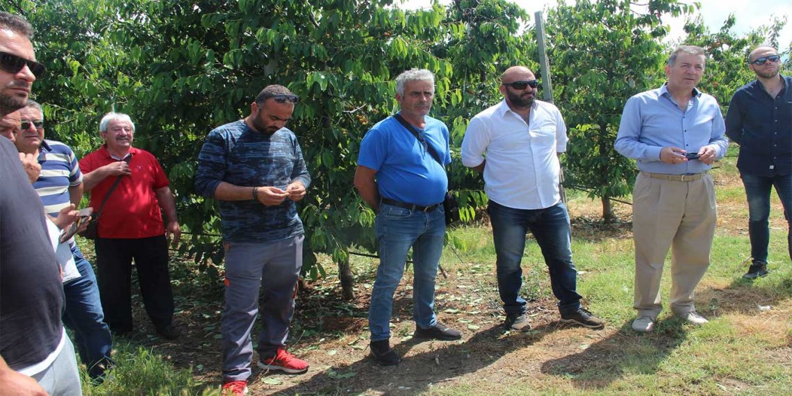 Επίσκεψη Άνθιμου Μπιτάκη στις πληγείσες από τη χθεσινή χαλαζόπτωση περιοχές του Δήμου Αμυνταίου