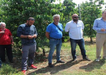 Επίσκεψη Άνθιμου Μπιτάκη στις πληγείσες από τη χθεσινή χαλαζόπτωση περιοχές του Δήμου Αμυνταίου