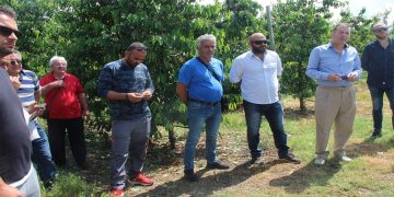 Επίσκεψη Άνθιμου Μπιτάκη στις πληγείσες από τη χθεσινή χαλαζόπτωση περιοχές του Δήμου Αμυνταίου