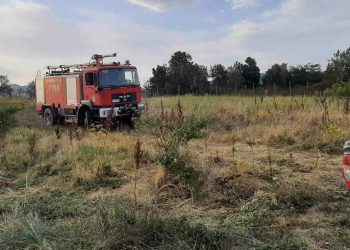 Κατάσβεση της πυρκαγιάς στην περιοχή Κάργα του Δήμου Άργους Ορεστικού