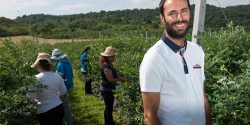 Τα μύρτιλα από το Αμύνταιο Φλώρινας που φτάνουν σε όλη την Ασία!