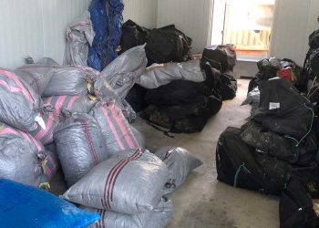 Πάνω από ένας τόνος ακατέργαστης κάνναβης καταστράφηκε χθες σε περιοχές της Κοζάνης