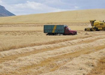 Χωρίς παραγωγή και τα χωράφια των Γρεβενών- Ανομβρία 50 ημερών κατέστρεψε τα σιτηρά- Αίτημα για ένταξη στα ΠΣΕΑ