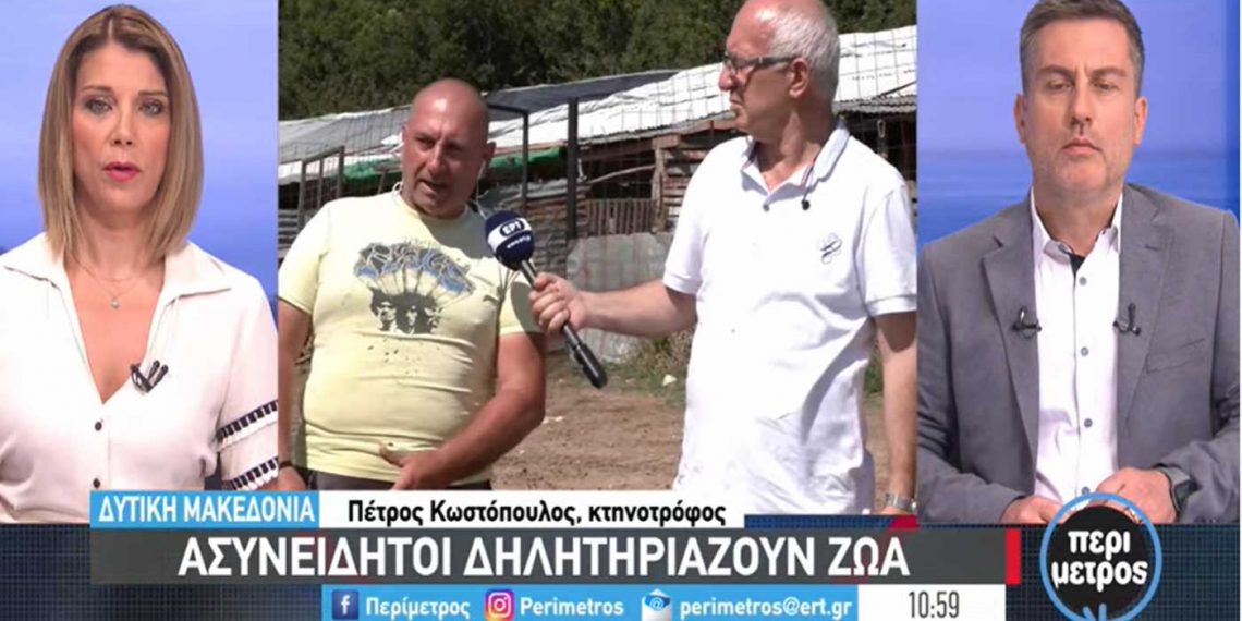 Ασυνείδητοι δηλητηριάζουν τσοπανόσκυλα στα Σέρβια Κοζάνης-VIDEO