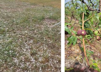 Ισχυρή χαλαζόπτωση εκδηλώθηκε σήμερα σε περιοχές του Μανιακίου Φλώρινας