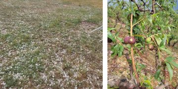 Ισχυρή χαλαζόπτωση εκδηλώθηκε σήμερα σε περιοχές του Μανιακίου Φλώρινας
