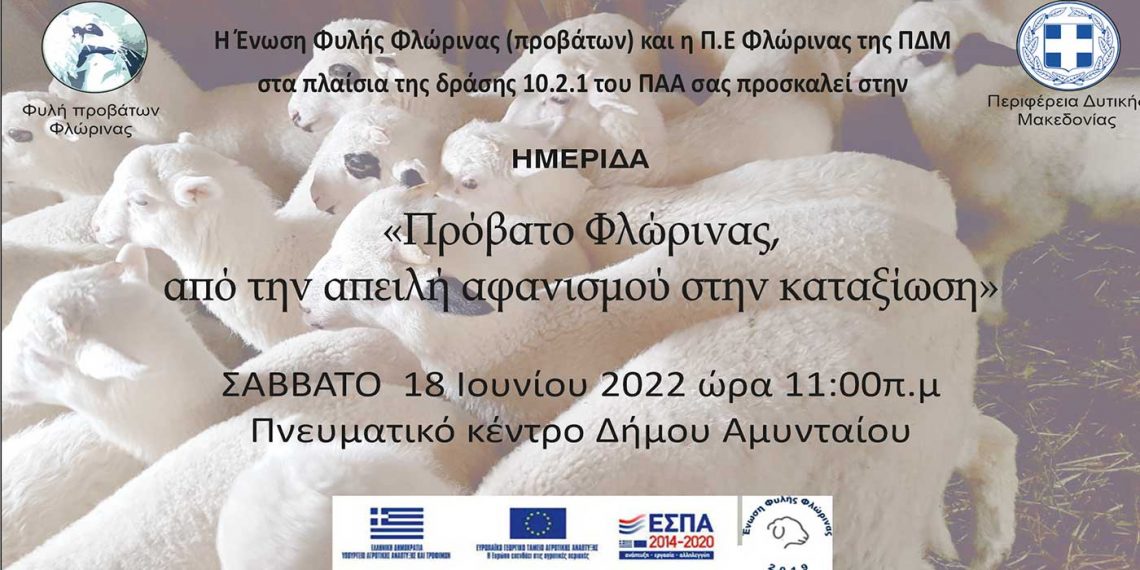 Ημερίδα για το πρόβατο Φλώρινας, το Σάββατο 18/6 στο Αμύνταιο
