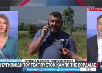 Η συγκομιδή του τσαγιού στον κάμπο της Εορδαίας – Θετικά τα μηνύματα από τη φετινή παραγωγή, λέει ο ιδιοκτήτης της φυτείας Ιγνάτιος Γαβριηλίδης-VIDEO