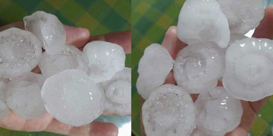 Ο Γιώργος Βασιλειάδης για τις χαλαζοπτώσεις το βράδυ της Τρίτης «Να κινηθούν άμεσα τα συνεργεία του ΕΛΓΑ»