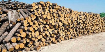 Επιστολή διαμαρτυρίας των Προέδρων των Τ.Κ. Λεχόβου, Αετού, Σκλήθρου, Φανού, Αγραπιδιάς και Λιμνοχωρίου του Δήμου Αμυνταίου προς τη δασική υπηρεσία Φλώρινας για τη διανομή ξυλείας