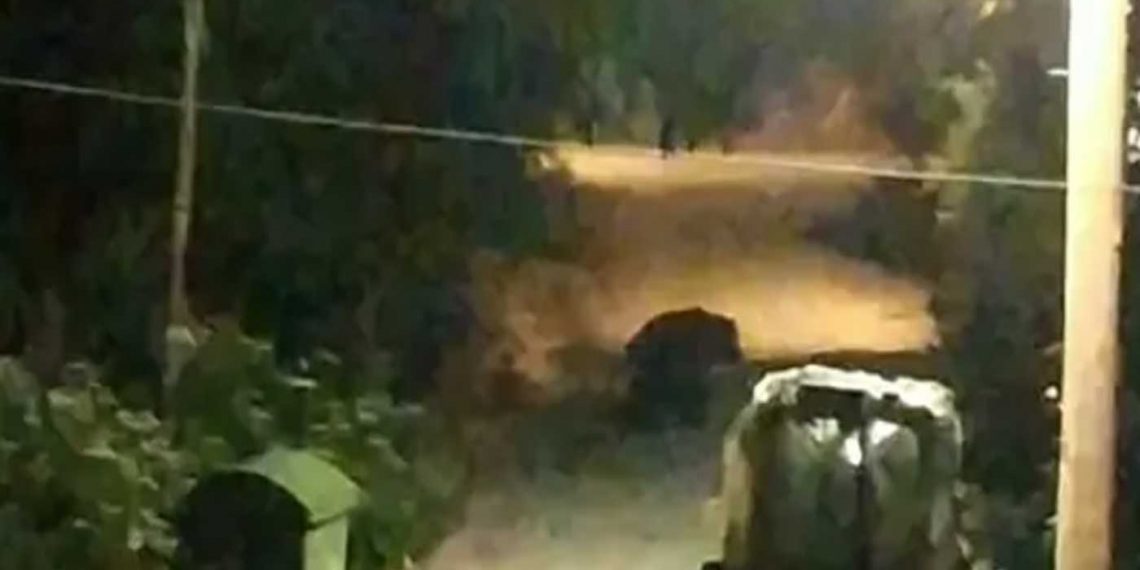 Καστοριά: Αρκούδα μέσα στην Πεντάβρυσο! (βίντεο)