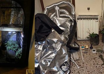 Ολόκληρο σύστημα καλλιέργειας κάνναβης είχαν στήσει 3 άτομα στην Φλώρινα που συνελήφθησαν