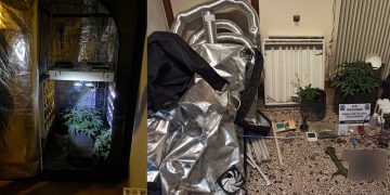 Ολόκληρο σύστημα καλλιέργειας κάνναβης είχαν στήσει 3 άτομα στην Φλώρινα που συνελήφθησαν