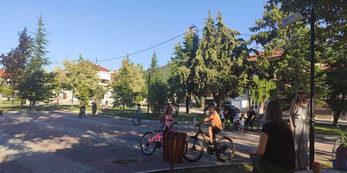 Άμεση παρέμβαση του τμήματος πρασίνου του Δήμου Εορδαίας για εργασίες στην Ασβεστόπετρα