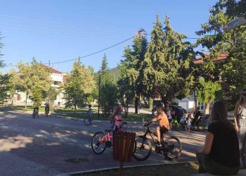 Άμεση παρέμβαση του τμήματος πρασίνου του Δήμου Εορδαίας για εργασίες στην Ασβεστόπετρα