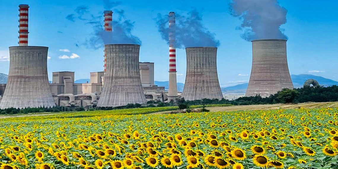 Ένα λιβάδι από ηλιοτρόπια με …φόντο τις καμινάδες του ΑΗΣ – Πανέμορφη σημερινή εικόνα