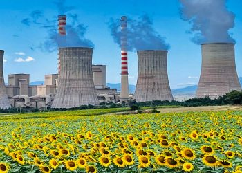 Ένα λιβάδι από ηλιοτρόπια με …φόντο τις καμινάδες του ΑΗΣ – Πανέμορφη σημερινή εικόνα