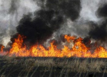Δ/νση Αγρ. Οικονομίας Π.Ε. Κοζάνης: «Απαγορεύεται η καύση καλαμιών»