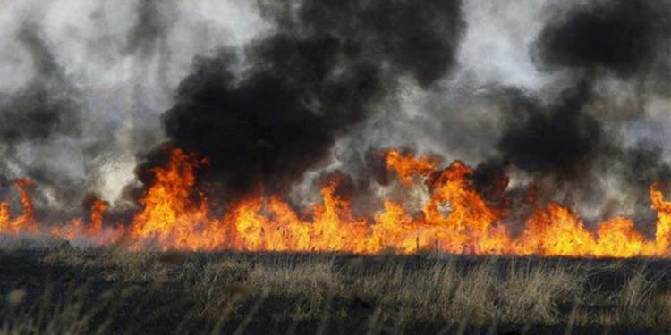 Δ/νση Αγρ. Οικονομίας Π.Ε. Κοζάνης: «Απαγορεύεται η καύση καλαμιών»