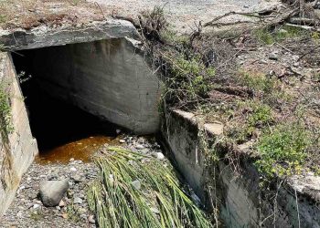 Δήμος Γρεβενών: Απώλειες σε ζωικό και φυτικό κεφάλαιο από τη χαλαζόπτωση στην κοινότητα Ανθρακιάς – Επί τόπου ο Δήμαρχος Γιώργος Δασταμάνης (Βίντεο+Φωτογραφίες)