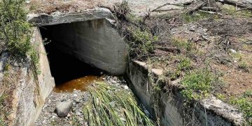 Δήμος Γρεβενών: Απώλειες σε ζωικό και φυτικό κεφάλαιο από τη χαλαζόπτωση στην κοινότητα Ανθρακιάς – Επί τόπου ο Δήμαρχος Γιώργος Δασταμάνης (Βίντεο+Φωτογραφίες)