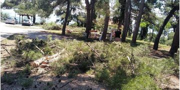 Κοζάνη: Οι εθελοντές της ΕΟΔ με το δασαρχείο καθάρισαν την περιοχή του Αη Σαράντη