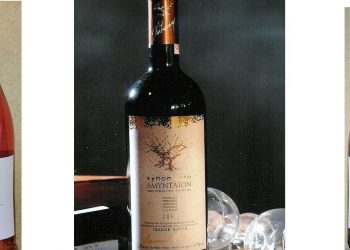 Σχεδόν άριστα από την Jancis Robinson (καλύτερη κριτικός κρασιών στην Ευρώπη) σε 3 κρασιά του Οινοποιείου Ι. Χατζή από το Αμύνταιο