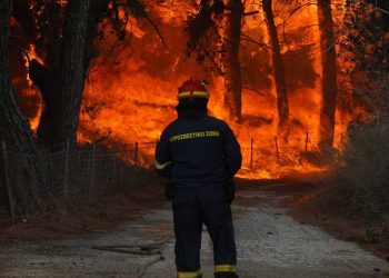 Πυροσβέστες της Δ. Μακεδονίας στα μέτωπα των πυρκαγιών στη χώρα – 40 άτομα και 10 οχήματα στη Δαδιά
