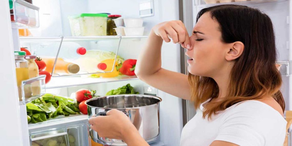 Καλοκαίρι: Πώς να διατηρήσετε ασφαλή τα τρόφιμα στη ζέστη και τι πρέπει να προσέχετε με το νερό