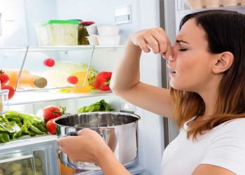 Καλοκαίρι: Πώς να διατηρήσετε ασφαλή τα τρόφιμα στη ζέστη και τι πρέπει να προσέχετε με το νερό