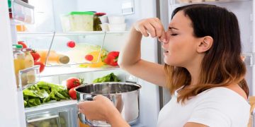 Καλοκαίρι: Πώς να διατηρήσετε ασφαλή τα τρόφιμα στη ζέστη και τι πρέπει να προσέχετε με το νερό