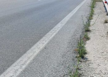 Οι κυνηγετικοί σύλλογοι Πτολεμαΐδας και Κοζάνης ζητούν λύση για τη συχνή εμφάνιση ζώων στο δρόμο Κοζάνη – Πτολεμαΐδα