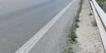 Οι κυνηγετικοί σύλλογοι Πτολεμαΐδας και Κοζάνης ζητούν λύση για τη συχνή εμφάνιση ζώων στο δρόμο Κοζάνη – Πτολεμαΐδα