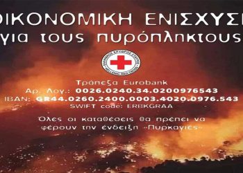 Ερυθρός Σταυρός: Οικονομική ενίσχυση για τους πυρόπληκτους