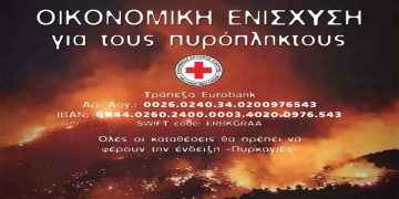 Ερυθρός Σταυρός: Οικονομική ενίσχυση για τους πυρόπληκτους