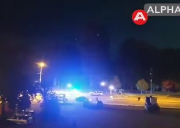 Χαμός και πάλι στην Καστοριά τα ξημερώματα με αρκούδες στην είσοδο της πόλης – ΒΙΝΤΕΟ