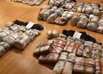 Τεράστια επιτυχία του Τμήματος Ασφαλείας Κοζάνης: Κατασχέθηκαν πάνω από 300 κιλά ακατέργαστης κάνναβης, σε περιοχή της Κοζάνης