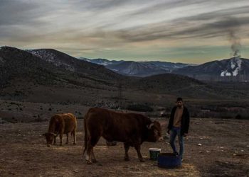 Οδοιπορικό του Αμερικανικού CNN στη Δυτική Μακεδονία – “Από το λιγνίτη στα οινοποιεία”